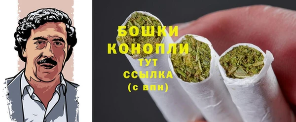 индика Осташков