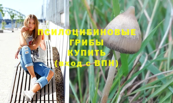 шишки Балабаново