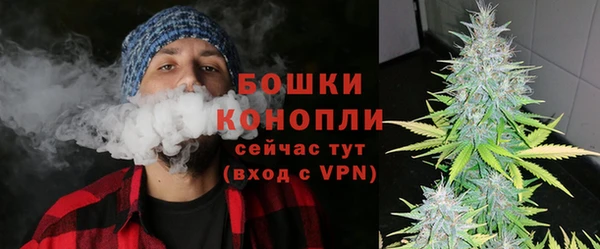 шишки Балабаново