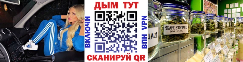как найти наркотики  Звенигород  Конопля White Widow 